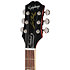 Pack Les Paul Standard 60s Figured Iced Tea Burst + Housse + DSL5C Combo + Câble Jack Mâle Mono Epiphone