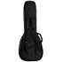 Pack Les Paul Standard 50s Figured Seafoam Green + Housse + DSL5C Combo + Câble Jack Mâle Mono Epiphone