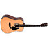 DM-1 Sigma Guitars