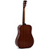 DM-1 Sigma Guitars