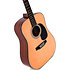 DM-1 Sigma Guitars