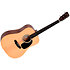 DM-ST Sigma Guitars