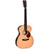 OMT-1 Sigma Guitars