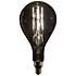 LED Filament Bulb PS52 Showgear