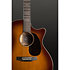 GPCE Inception M2 Maple Gloss 2025 + Etui Martin Guitars