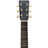GPCE Inception M2 Maple Gloss 2025 + Etui Martin Guitars