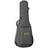 SC-10E-Spruce + Housse Martin Guitars