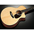 SC-10E-Spruce + Housse Martin Guitars