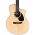 SC-10E-Spruce + Housse Martin Guitars
