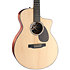 SC-10E-Spruce + Housse Martin Guitars