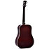 SG SDM-SG5 Autumn Burst Sigma Guitars