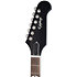 Pack DG-335 Dave Grohl Signature + Etui + DSL5C Combo + Câble Jack Mâle Mono Epiphone
