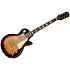 Pack Les Paul Standard 50s Figured Bourbon Burst + Housse + DSL5C Combo + Câble Jack Mâle Mono Epiphone