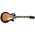Pack Les Paul Standard 50s Figured Bourbon Burst + Housse + DSL5C Combo + Câble Jack Mâle Mono Epiphone