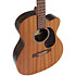 OMC-X2E Ziricote Special + Housse Martin Guitars