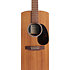 GP-X2E Ziricote Special + Housse Martin Guitars