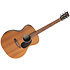 GP-X2E Ziricote Special + Housse Martin Guitars