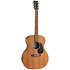 GP-X2E Ziricote Special + Housse Martin Guitars