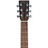 GP-X2E Ziricote Special + Housse Martin Guitars