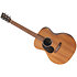 GP-X2E Ziricote Special Gaucher + Housse Martin Guitars