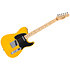 Pack Standard Telecaster MN Butterscotch Blonde + Tone Master Pro + Câble Jack Mâle Mono Fender