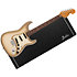 Pack Vintera II Stratocaster 70th Anniversary LTD Rosewood Antigua + Etui + Tone Master Pro + Câble Jack Mâle Mono Fender