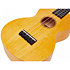 ML2SF Island Concert Sun Flower + Housse Mahalo