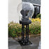 Dôme de protection pluie, diamètre 60cm L Showgear