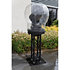 Rain Dome 60 cm Showgear