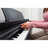 CX 202 Black Kawai