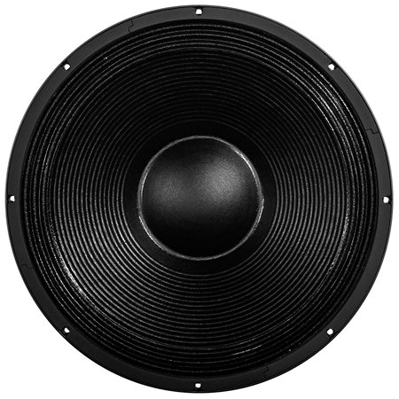 18TBW100 4 Ohm B&C Speakers