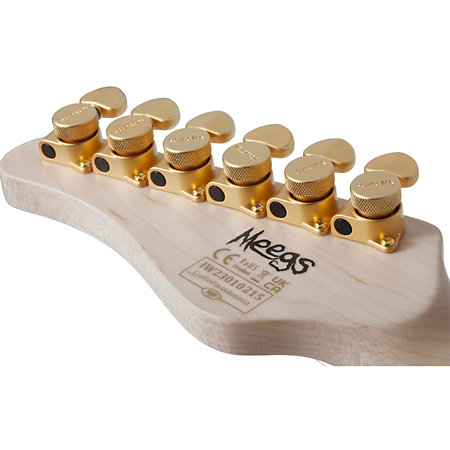 Meegs PT EX Charcoal Burst Schecter