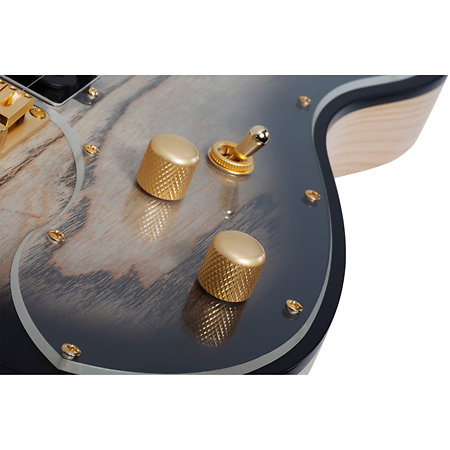 Meegs PT EX Charcoal Burst Schecter