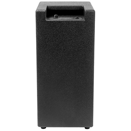Baffle Bass Gnome 2X8 Pouces 200 Watt Warwick