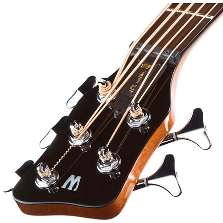 Alien Natural Satin 5 Cordes Gaucher Warwick