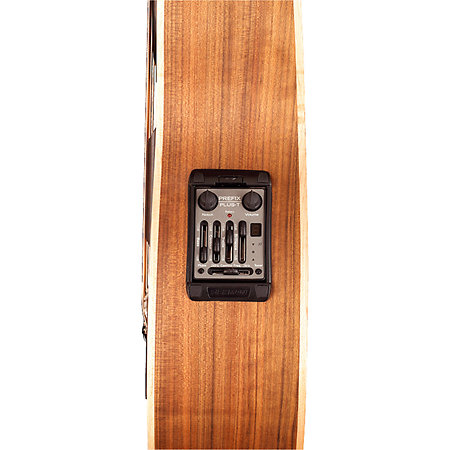 Alien Natural Satin 5 Cordes Gaucher Warwick