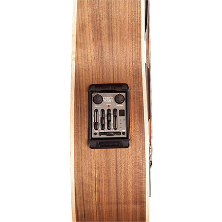 Alien Fretless 6 Cordes Natural Satin Warwick