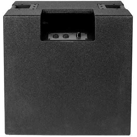 Baffle Gnome 4x8 pouces 300 Watt 8 Ohms Warwick