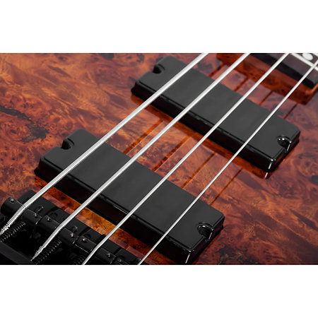 C-4 Standard Tobacco Burl Schecter