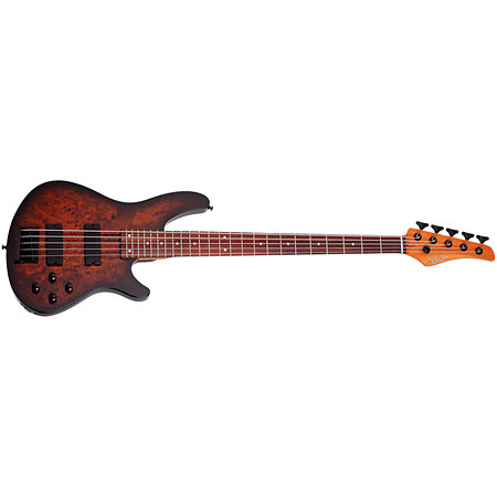 C-5 Standard Tobacco Burl Schecter