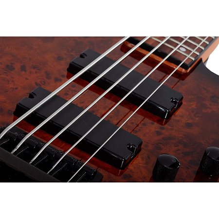 C-5 Standard Tobacco Burl Schecter