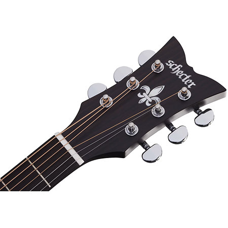 Deluxe Acoustic Satin See Thru Black Schecter