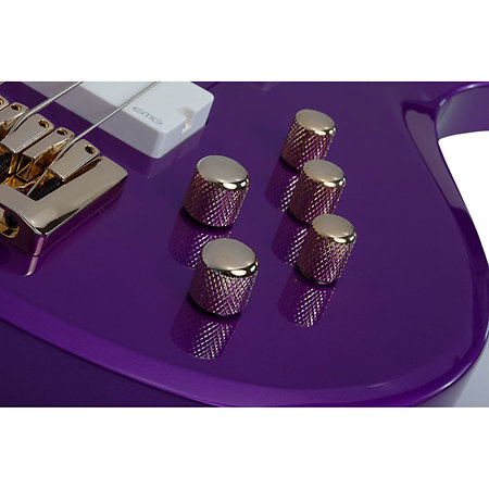 FreeZesicle-5 The Freeze signature Purple Schecter