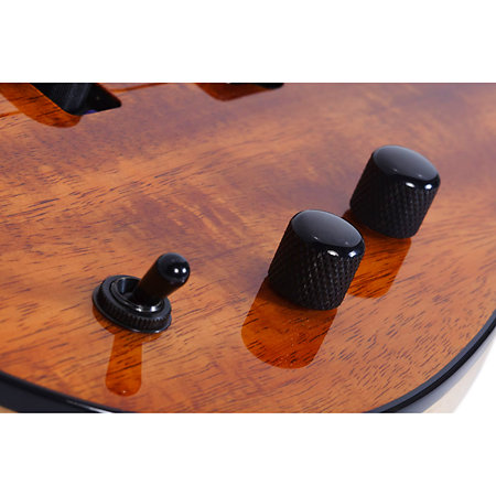 Michael Anthony MA-4 Bass Gloss Natural Schecter