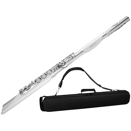 Roland Aerophone Brisa