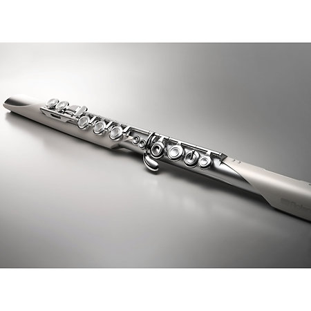 Roland Aerophone Brisa
