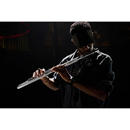 Aerophone Brisa Roland