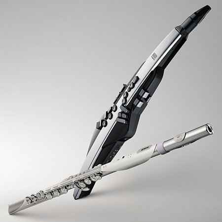 Aerophone Brisa Roland
