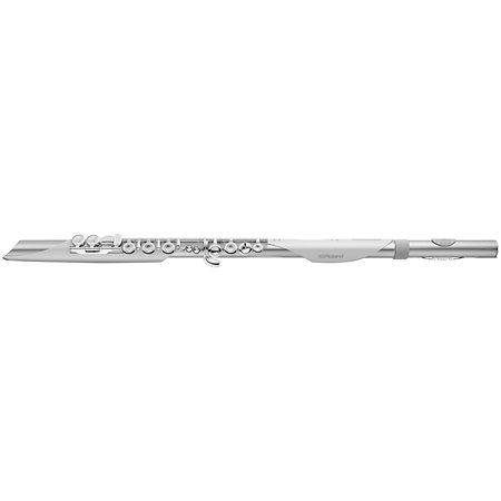Aerophone Brisa Roland