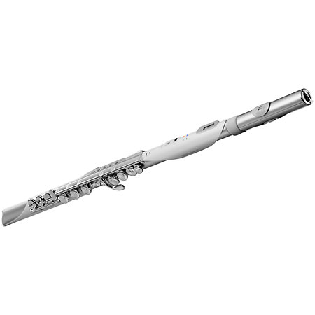 Aerophone Brisa Roland